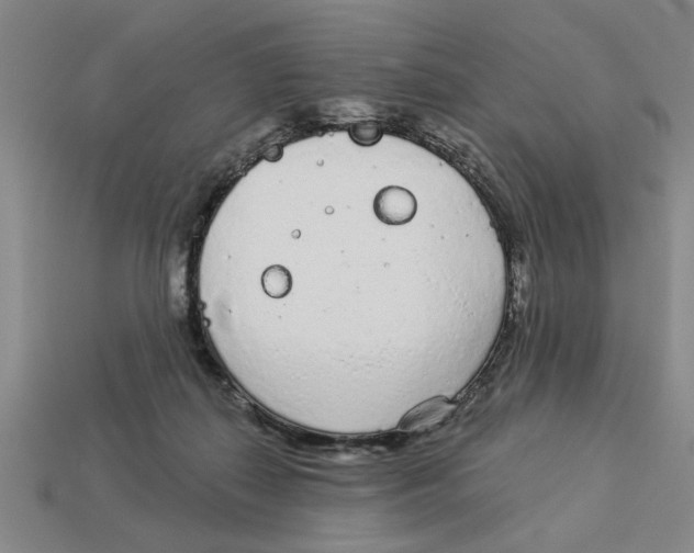 X0000113020267200909241641