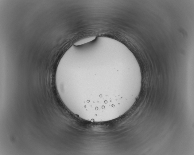 X0000113020268200909241641