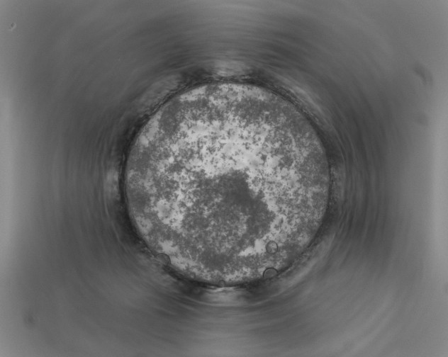 X0000113020269200909241641