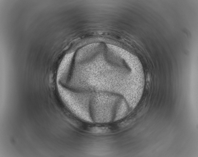 X0000113020270200909241641