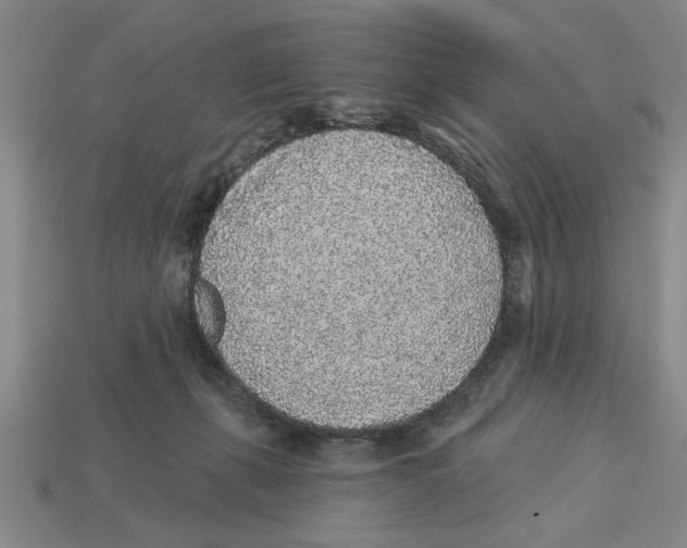 X0000113020271200909241641