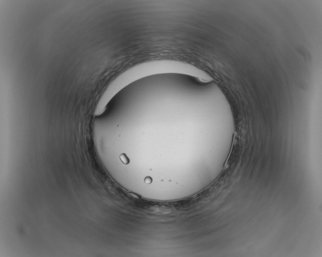 X0000113020272200909241641