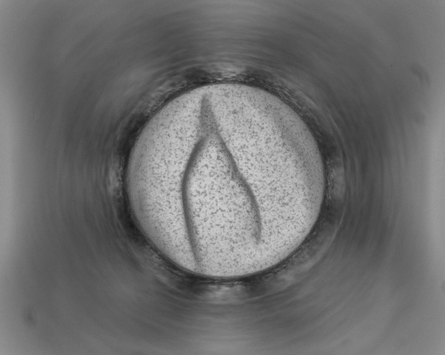 X0000113020274200909241641