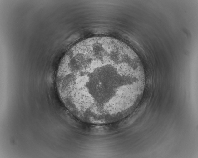 X0000113020277200909241641