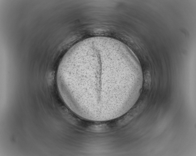 X0000113020278200909241641