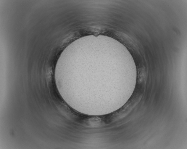 X0000113020279200909241641