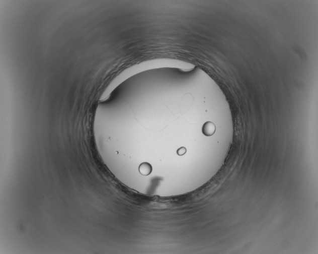 X0000113020280200909241641