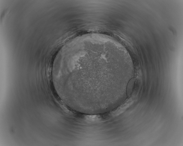 X0000113020281200909241641