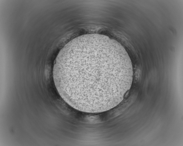 X0000113020283200909241641