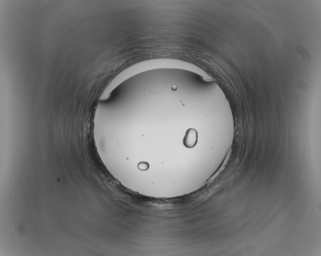 X0000113020284200909241641