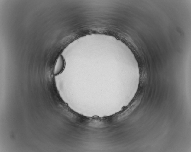 X0000113020285200909241641