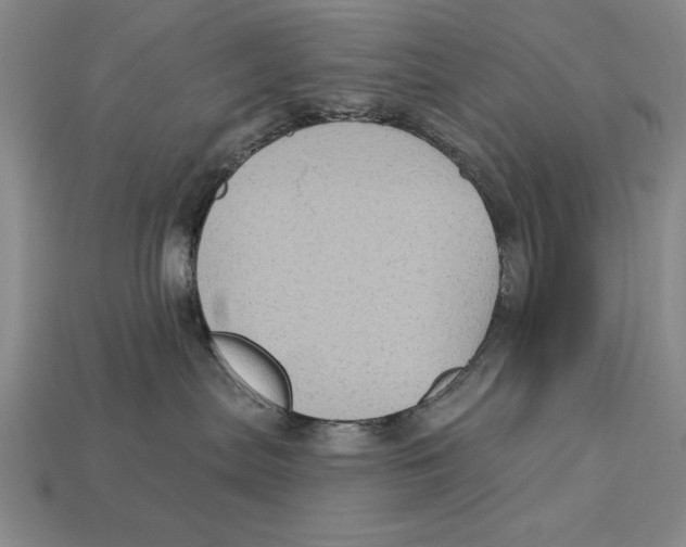 X0000113020287200909241641