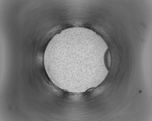 X0000113020288200909241641