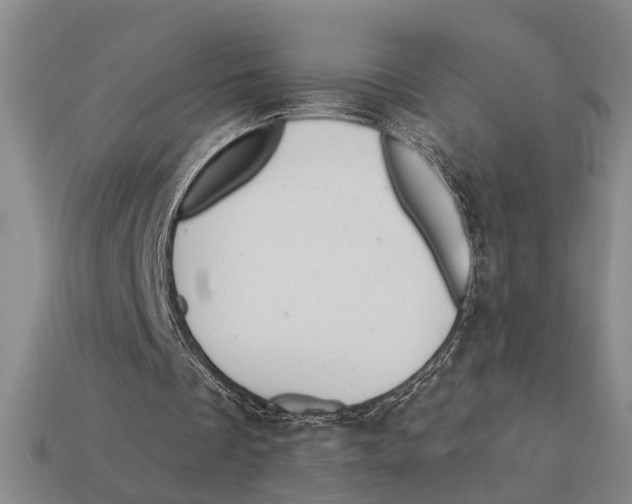 X0000113020289200909241641