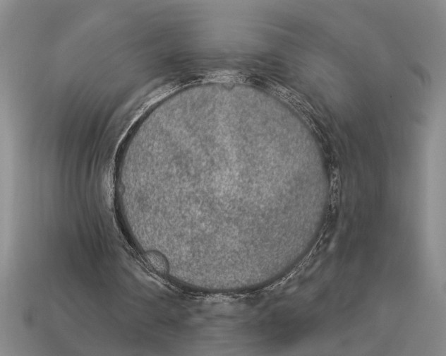 X0000113020290200909241641