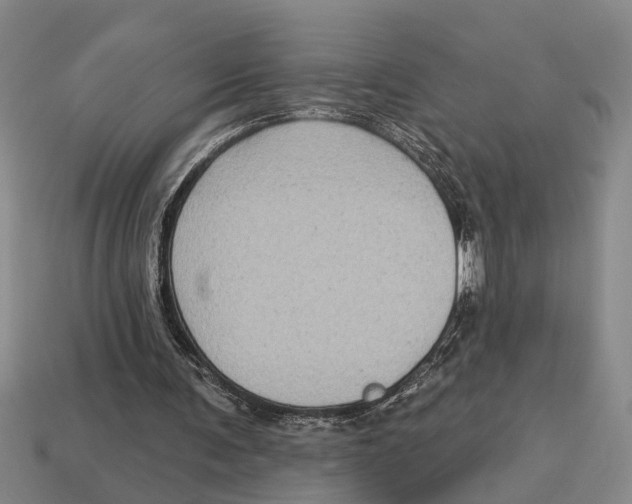 X0000113020291200909241640