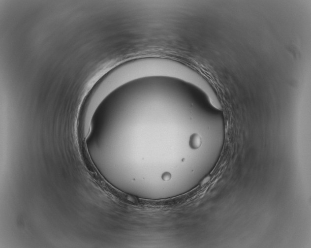 X0000113020292200909241640