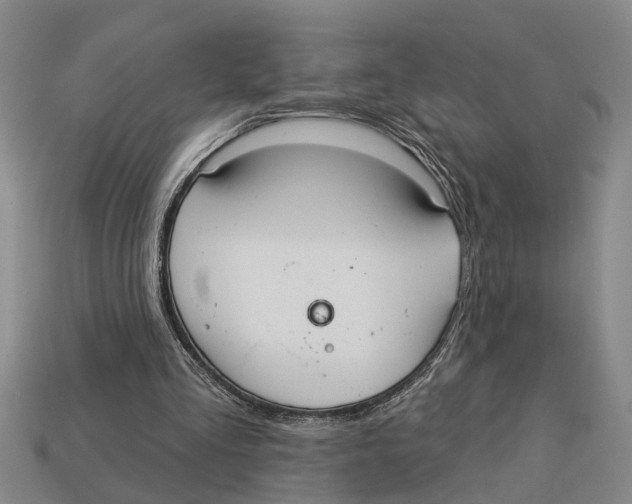 X0000113020293200909241640