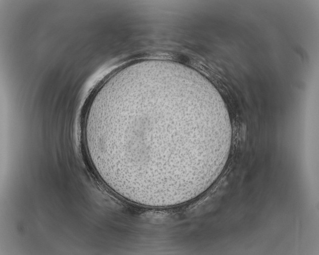 X0000113020294200909241640