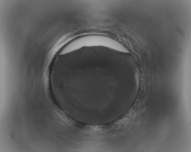 X0000113020295200909241640