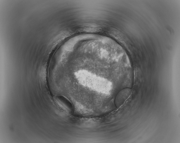 X0000113020297200909241640