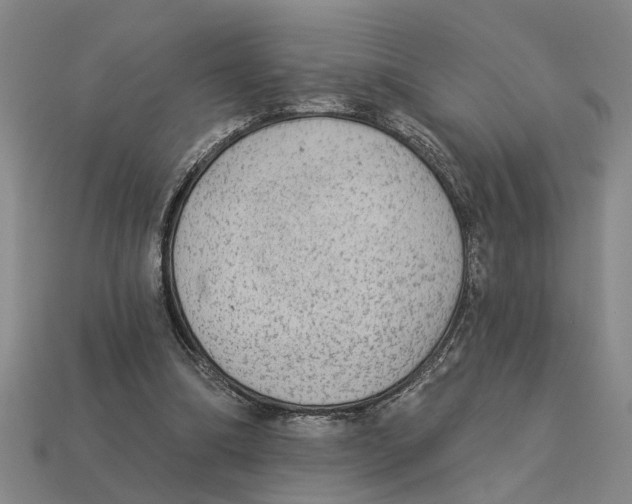 X0000113020298200909241640