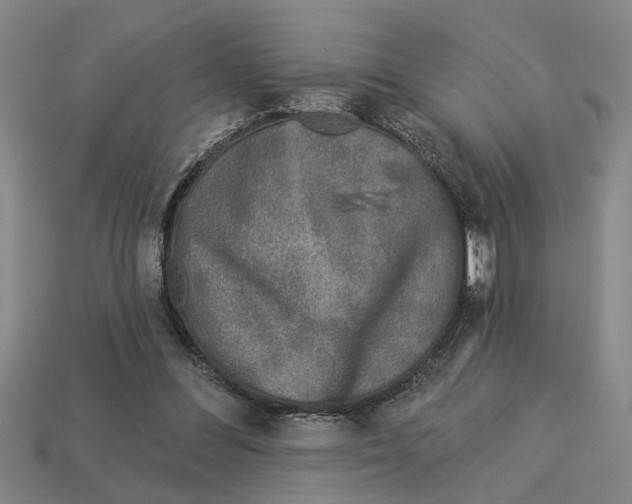 X0000113020300200909241640