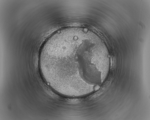 X0000113020301200909241640