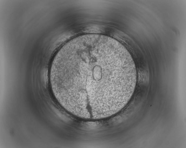 X0000113020302200909241640