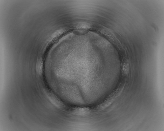 X0000113020304200909241640