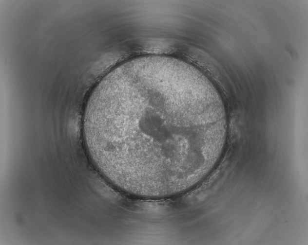 X0000113020305200909241640