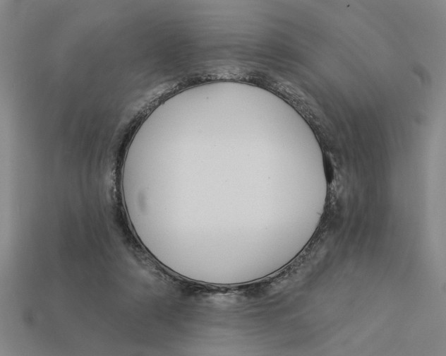 X0000113020306200909241640