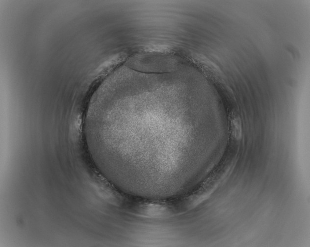 X0000113020308200909241640