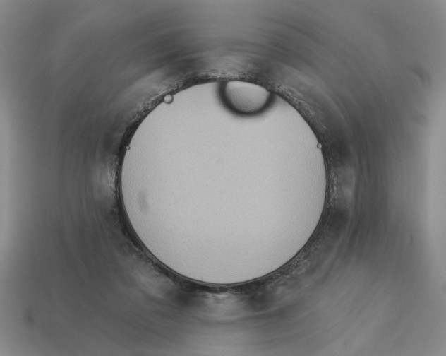 X0000113020309200909241640