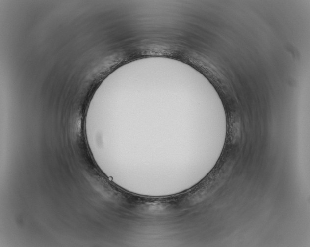 X0000113020310200909241640