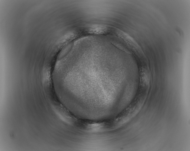 X0000113020312200909241640