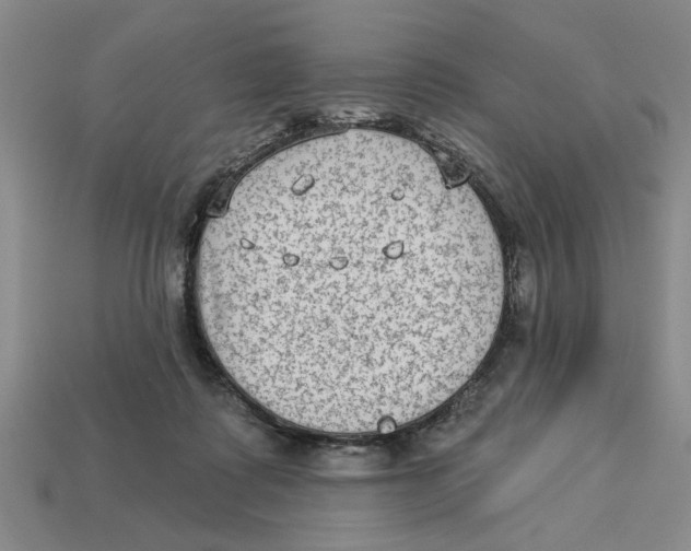 X0000113020315200909241640