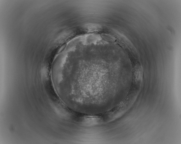 X0000113020316200909241640