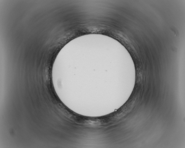 X0000113020317200909241640