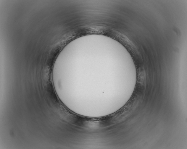 X0000113020318200909241640