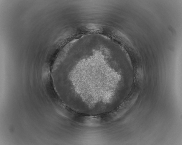 X0000113020320200909241640