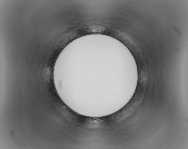 X0000113020321200909241640