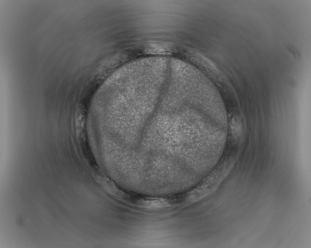 X0000113020322200909241640