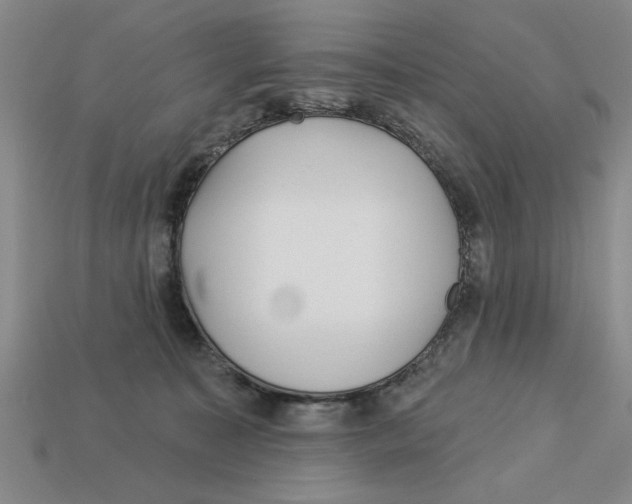 X0000113020323200909241640