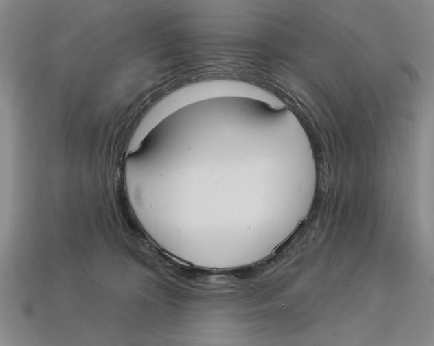 X0000113020324200909241640