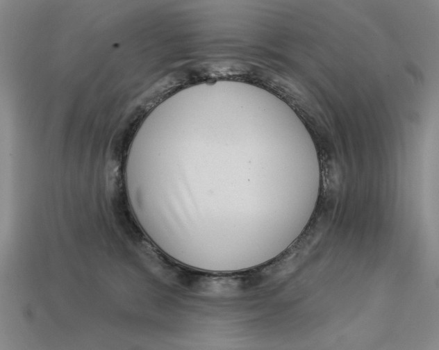 X0000113020327200909241640