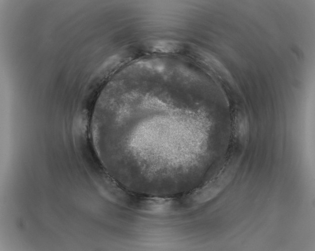 X0000113020328200909241640