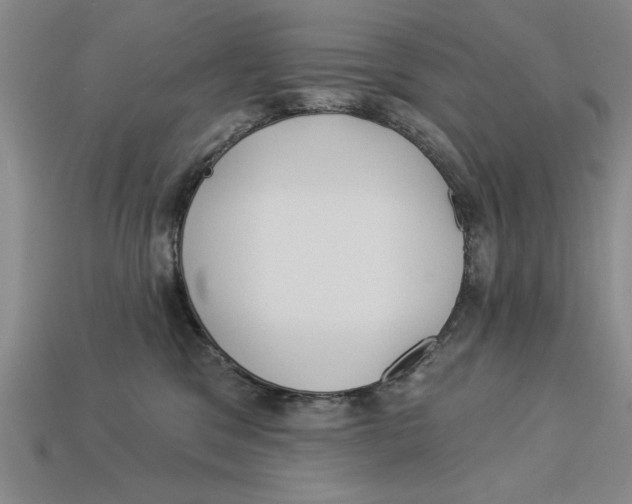 X0000113020329200909241640