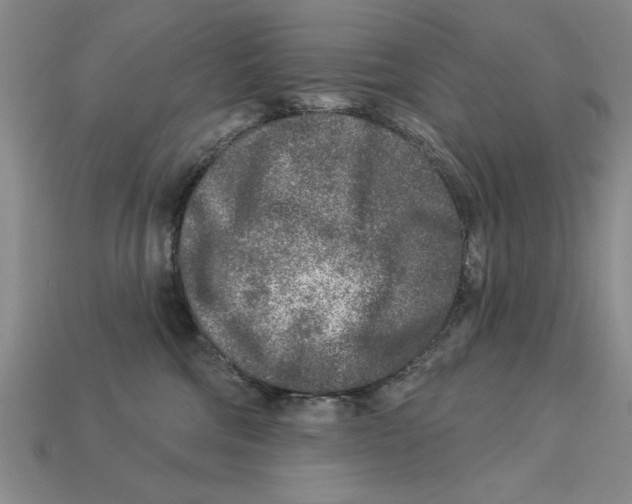 X0000113020330200909241640