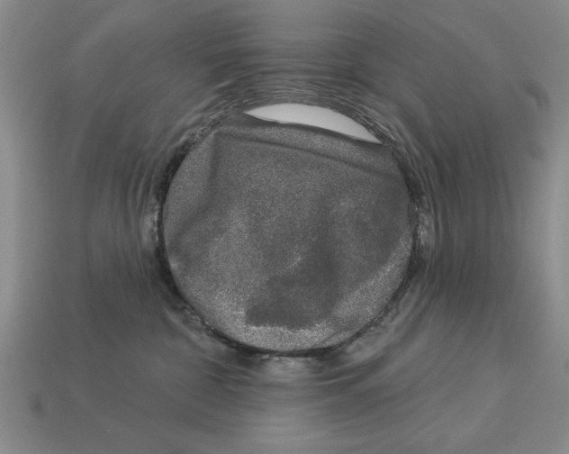 X0000113020332200909241640